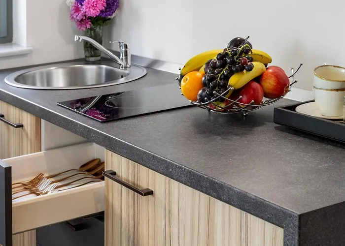 شقة فندقية Tomis Garden بوخارست