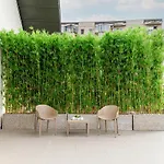 Tomis Garden